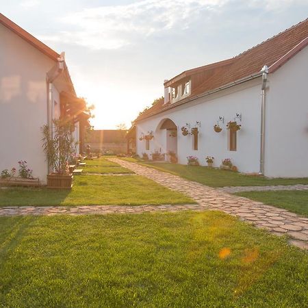 Pensiunea Casa Canda Salasu de Sus Esterno foto